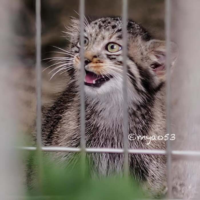 Довольный малыш