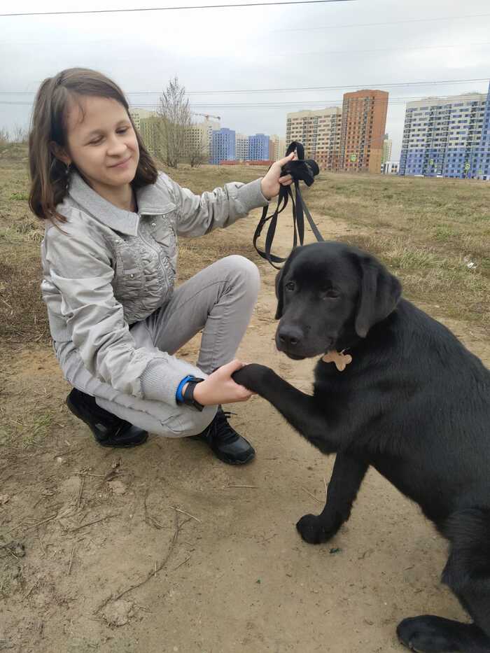 Руна дает лапу
