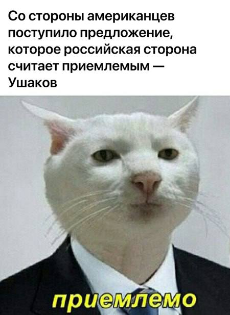 Прогревают?