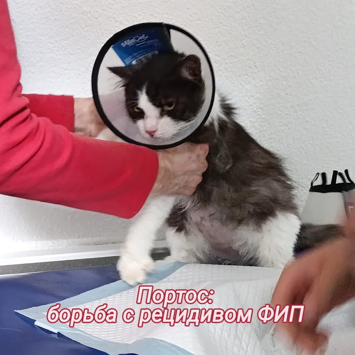 .     , , , , , , ,  ,  , 