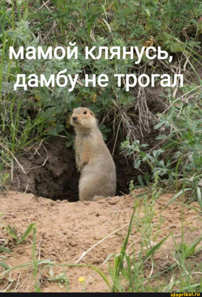   "" 70-,   , , , , ,  ,  , 