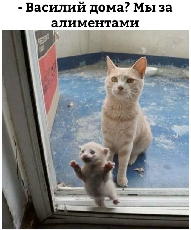    , , , , , 