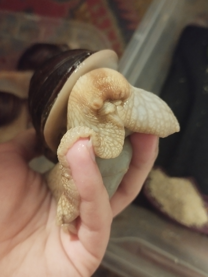          ,  , ,   , , ,  , 