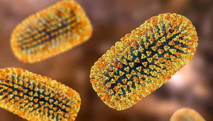 ����� ��������� ��� ������������ ���������� � ��� ����������� ������ ����������� ���������, ������� �������� ��������� ������ ������-�������