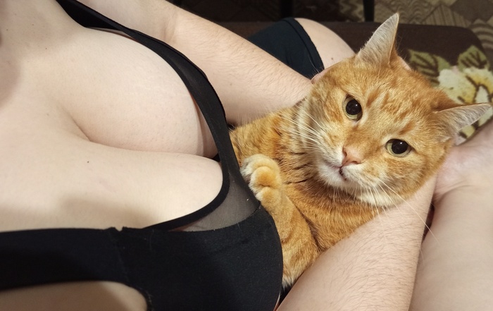 ,     ,     .     .    .