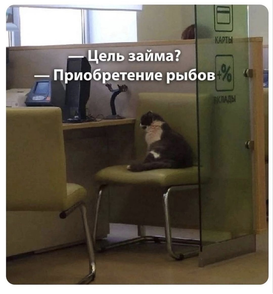 Котик всегда знает, что ему нужно - Моё, Юмор, Смешные животные, Кот, Анималистика, Декор, Вы продаете рыбов?, Мемы, Черный кот, Авторская живопись, Картина, Магнитики, Миниатюра, Пушистые, Лапки, Забавное, Длиннопост, Серия Моя живопись картины магниты