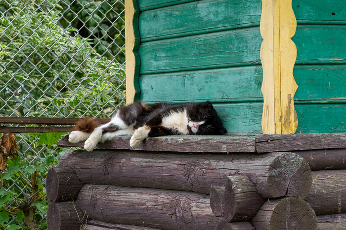 �����. ������� ������ ������.