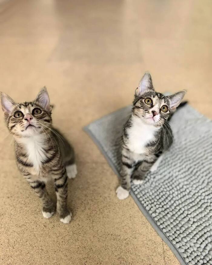 ������ ����������� ��������!