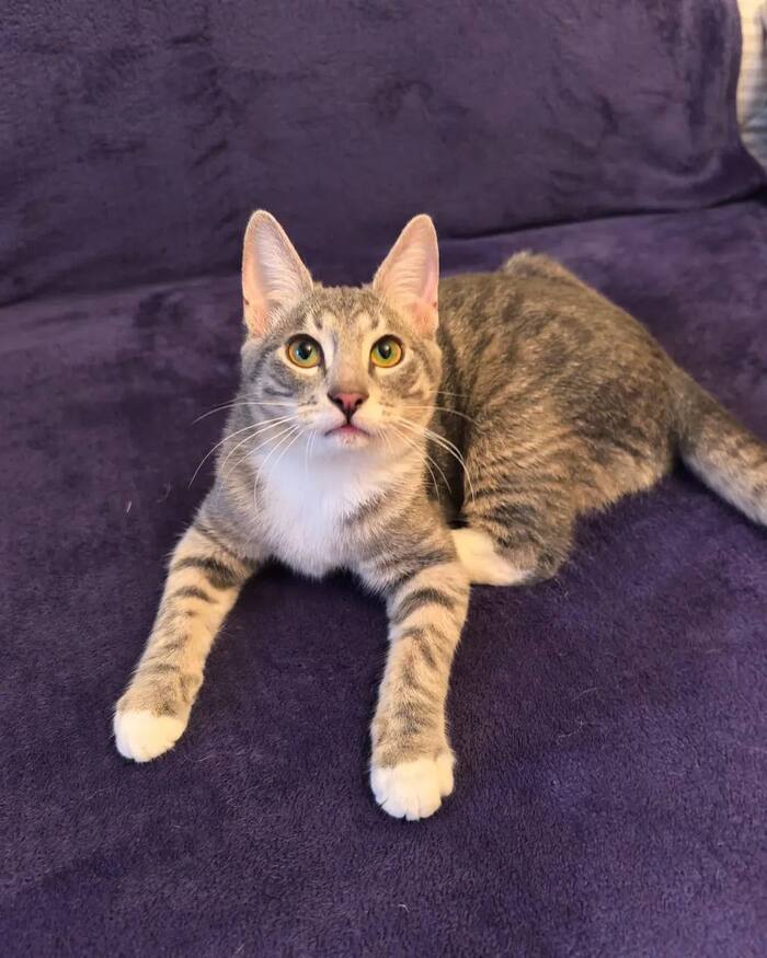 ������ ����������� ��������!