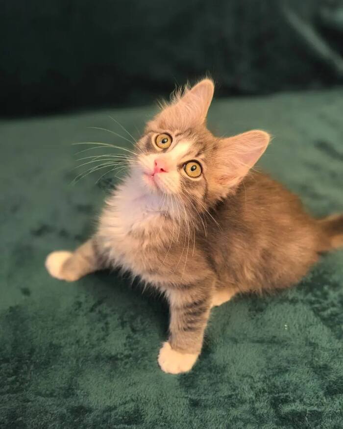 ������ ����������� ��������!