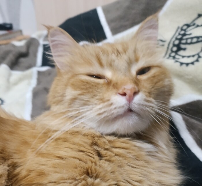 , , . !  , ,    ,    , , ,  ?, , , , 