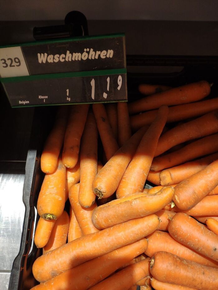 ����� ������� 115 ������ ��