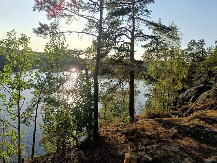 Четвертый день трезвости