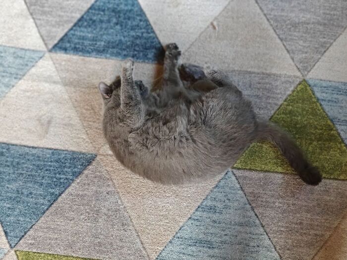     ,    ,  ,  , , 