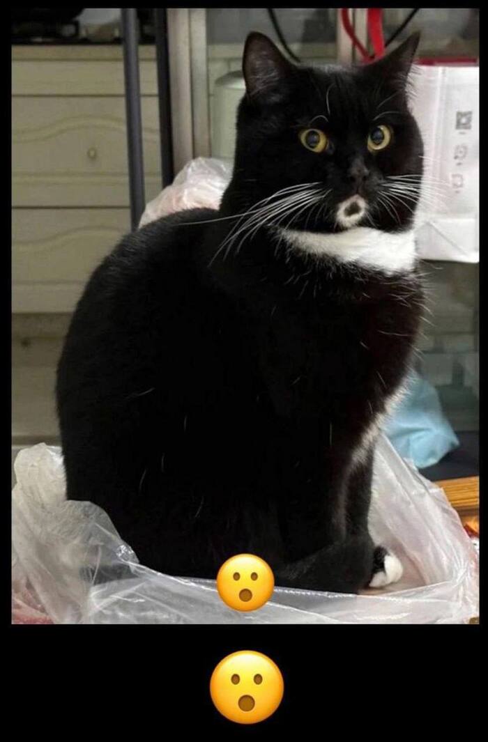  : , , 