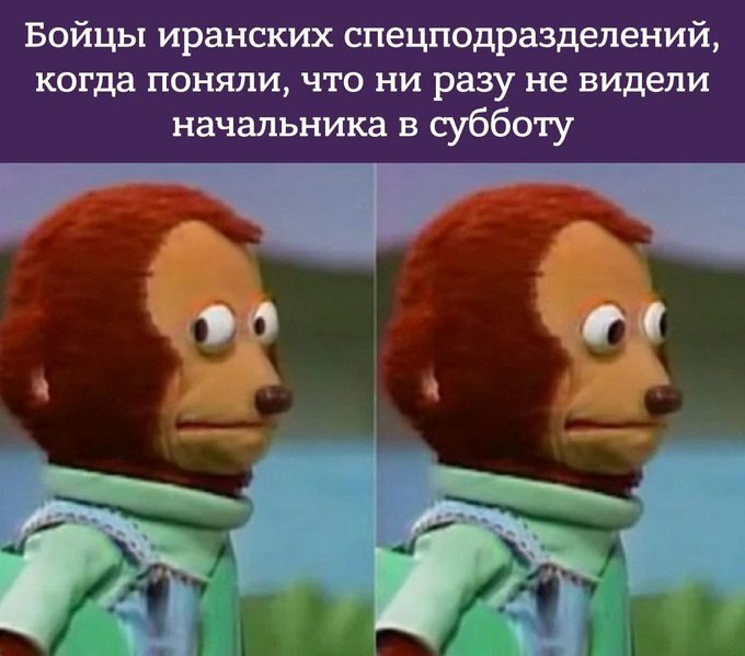 , ? ,   , , , , , , Telegram (), 