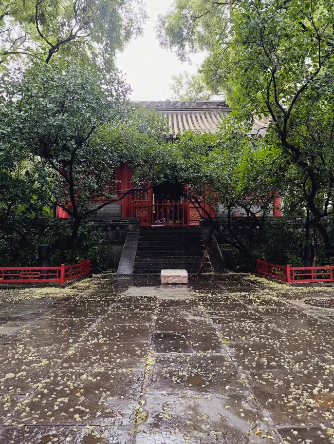 Храм Фаюань, Пекин - Серия Beijing, Моё, Достопримечательности, Храм, Китай, Пекин, Буддизм, Интересные места, Путешествия, Видео, Вертикальное видео, Короткие видео, Длиннопост