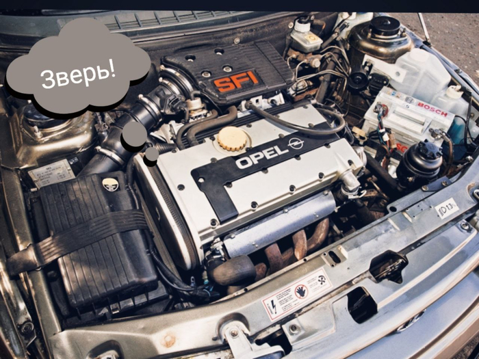  21106,     -96:  Ƹ     Opel , , , , 