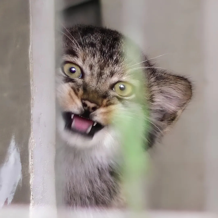 Не очень доброе утро