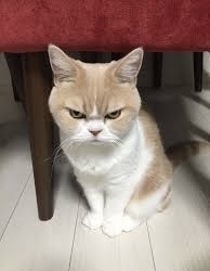 1         .    ... , , , 