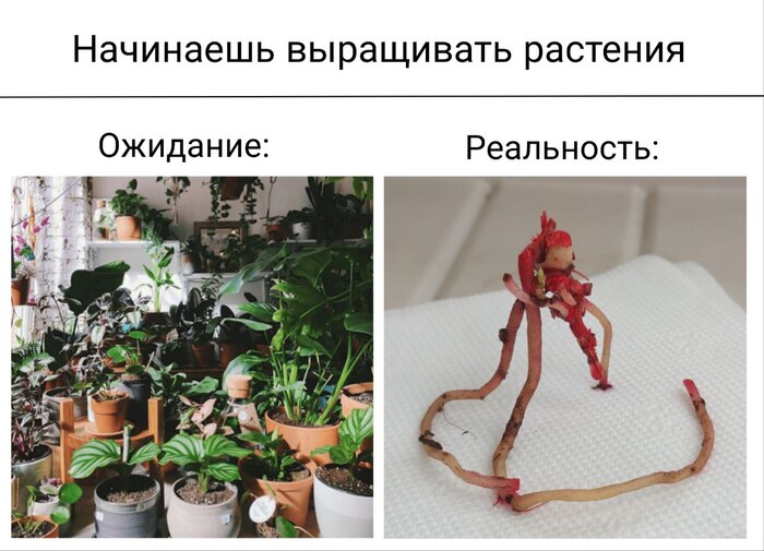 ���� ��� ���������� ����������