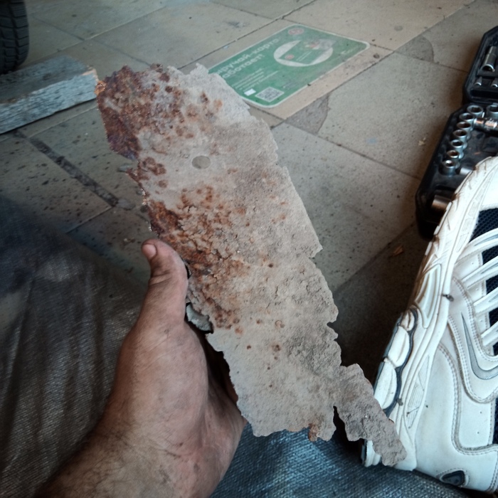    ,        ,          .  