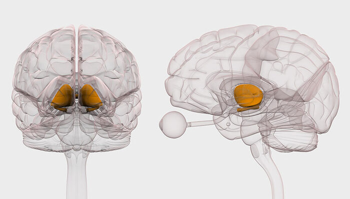 ��������� �������� ����������