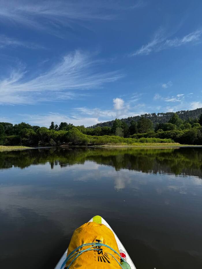 �������� ���� �����