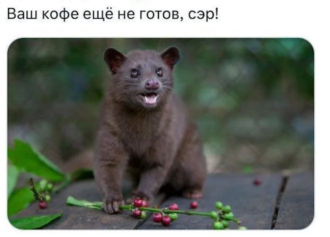 cosfl4ev.webp
