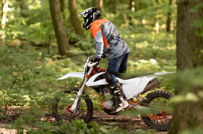 : <!--noindex--><a href="https://pikabu.ru/story/detyam_poprobuyut_zapretit_ezdit_na_pitbaykakh_opyat_13065496?u=http%3A%2F%2Ffreepik.com&t=freepik.com&h=85db536b86aca028ae7e6f514b8f842dbac0a505" title="http://freepik.com" target="_blank" rel="nofollow noopener">freepik.com</a><!--/noindex-->