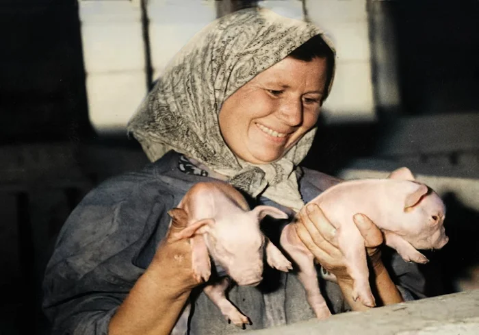 Подборка простых и потрясающих фотографий эпохи СССР. 20 раскрашенных фотографий. Часть 28 20 век, Старое фото, Фотография, СССР, Сделано в СССР, Детство в СССР, 60-е, 70-е, 80-е, 50-е, 40-е, Колоризация, Длиннопост