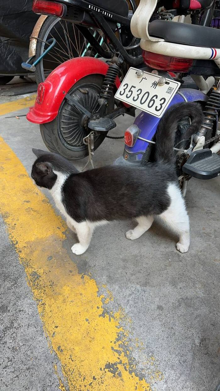    (/)               , , , , , ,  ,  