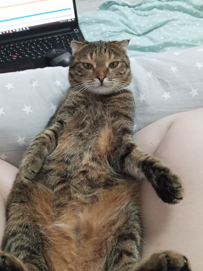  , ,  ,  