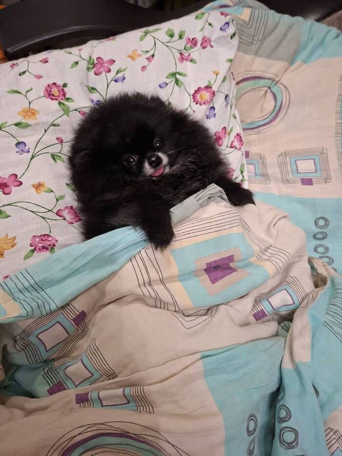 ����������, ����� ������ �� ���� �������� �� ���, ������� �� ������ � ������� �� ������������ ������