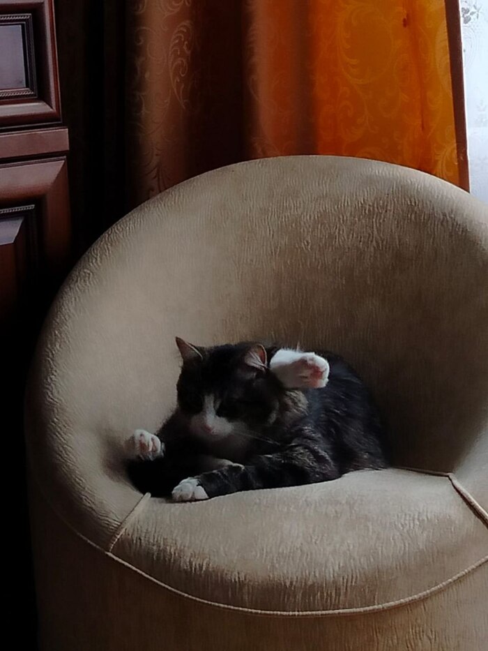 Здравствуйте вам. Вы так умеете?🤣🙈🔥