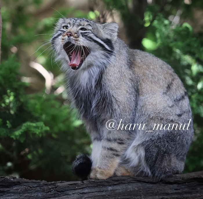 Не пятница...