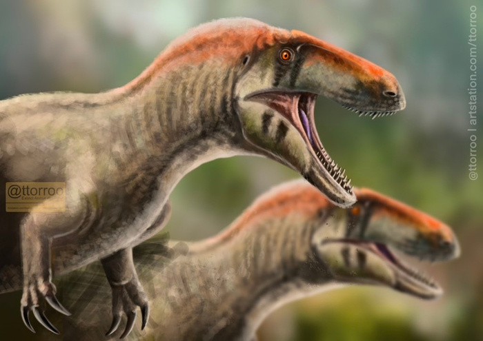  (Megalosaurus)     ,  , , ,  ,  ,   (), 