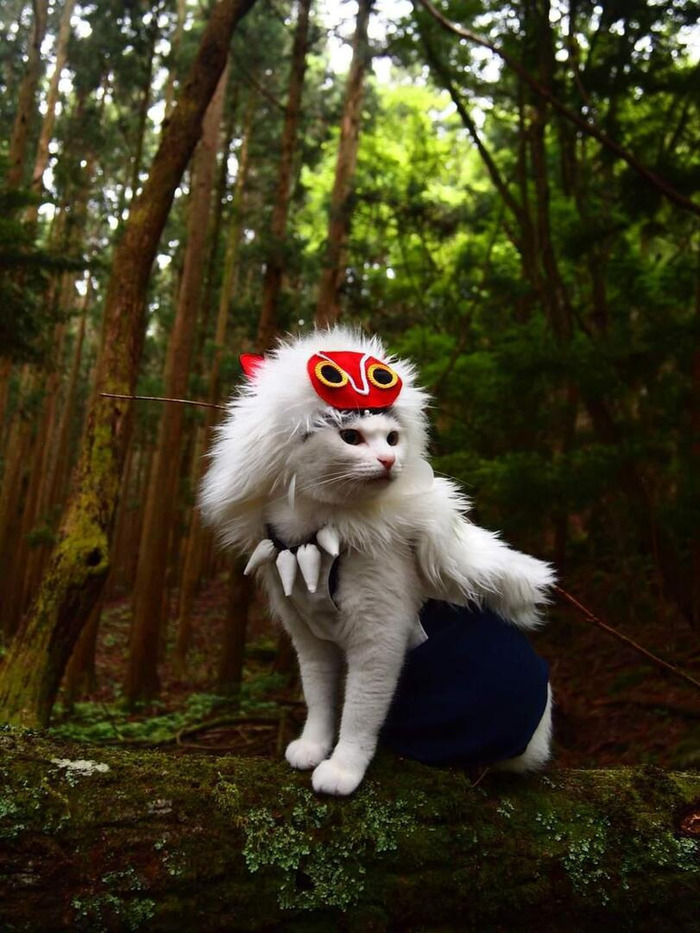 ��������� ��������