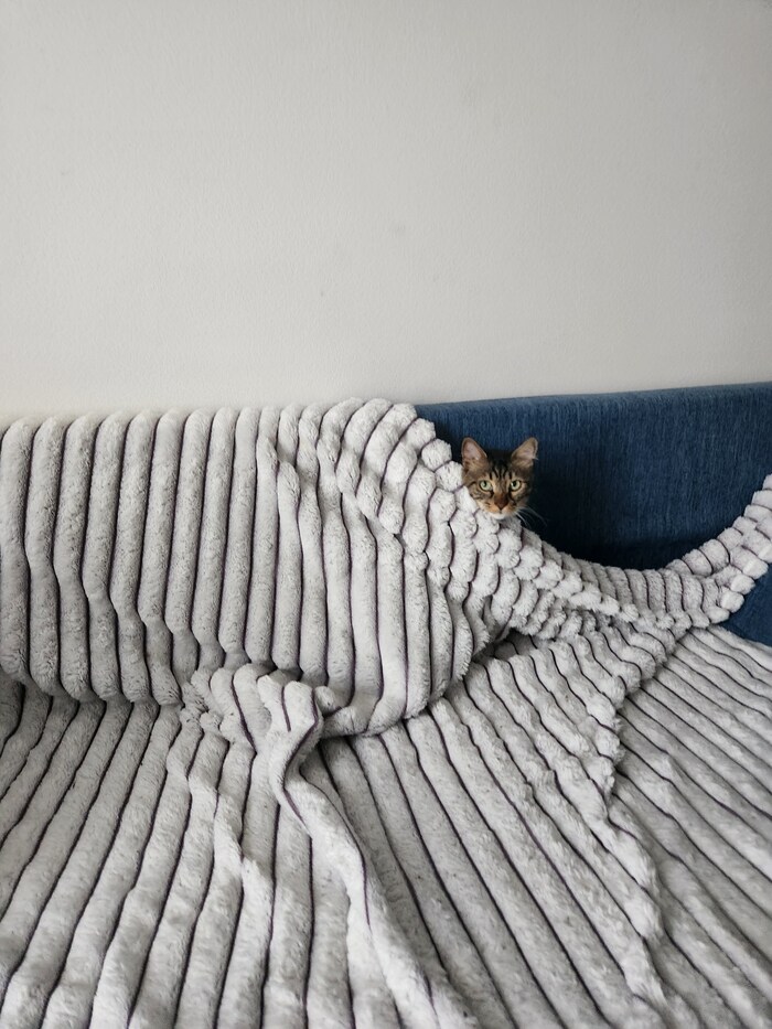 Ежедневный Рислинг #21