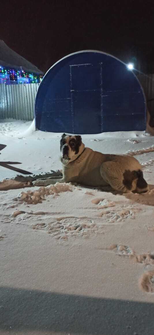 Вот из-за кого мы получили такую шикарную всратую футболку! 😂