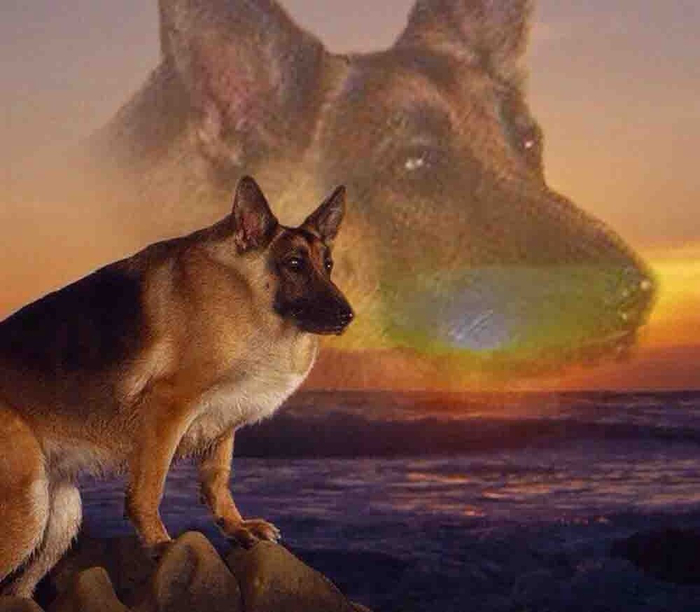   ,   , ,  MAX, ,  