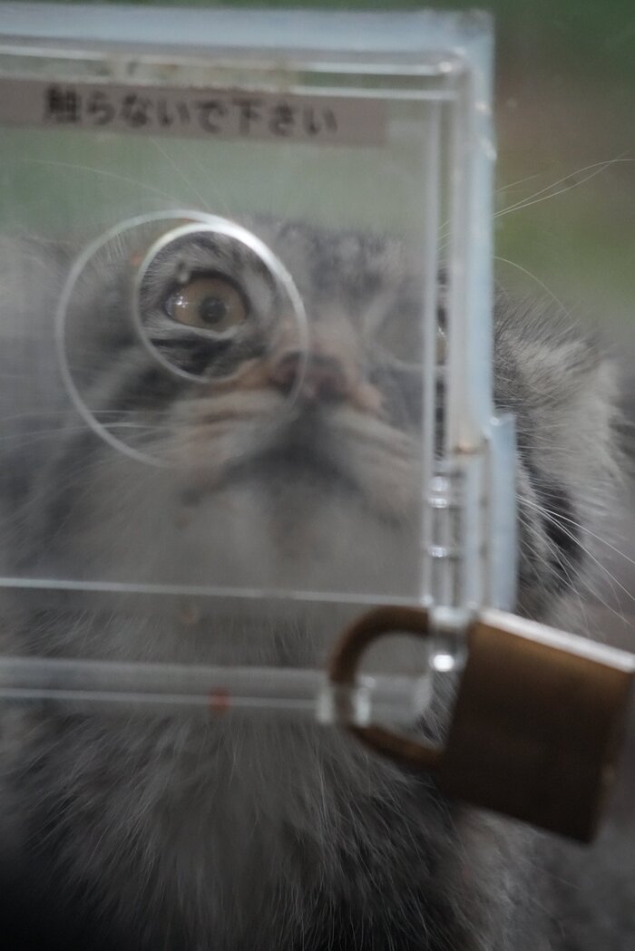 Выходные, я вас вижу!!!