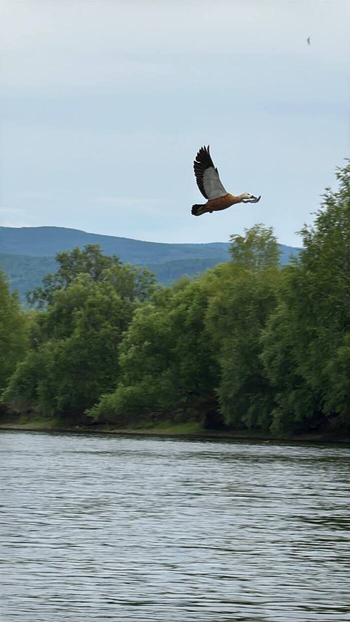 И такие кадры бывают