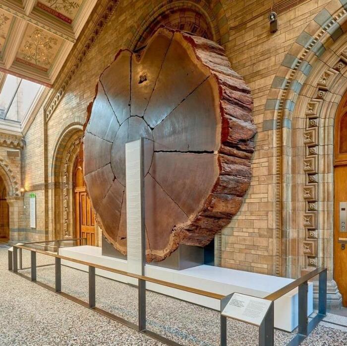        .&nbsp;    <!--noindex--><a href="https://pikabu.ru/story/sekvoyyadendron_13085995?u=http%3A%2F%2Freddit.com&t=reddit.com&h=200454e4ba6d2f6af5eb2b3fd3a256d0ec2af362" title="http://reddit.com" target="_blank" rel="nofollow noopener">reddit.com</a><!--/noindex-->.