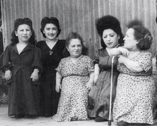 ������ ����.