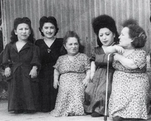 Карлицы в Освенциме История (наука), Вторая мировая война, Военная история, 20 век, Прошлое, Женщины, Адольф Гитлер, Инвалид, Длиннопост