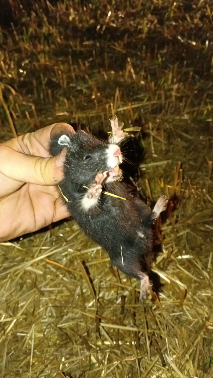         , , , 