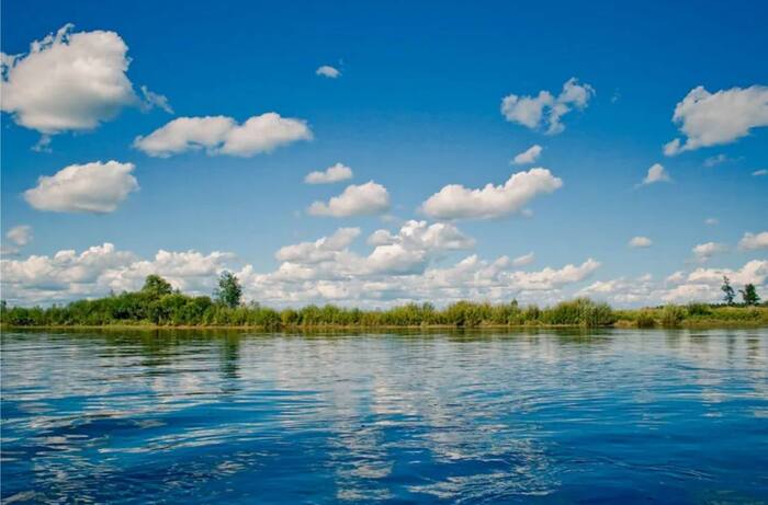 Дождь над рекой