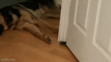     , , , 