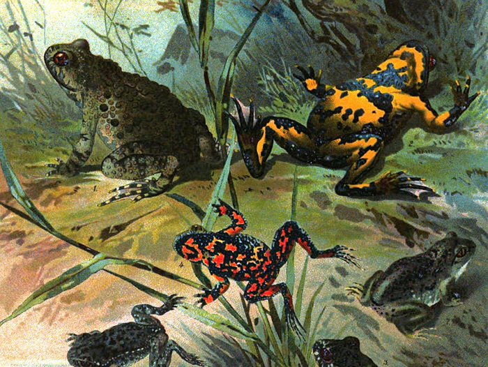 Christian Votteler,  , 1897 .